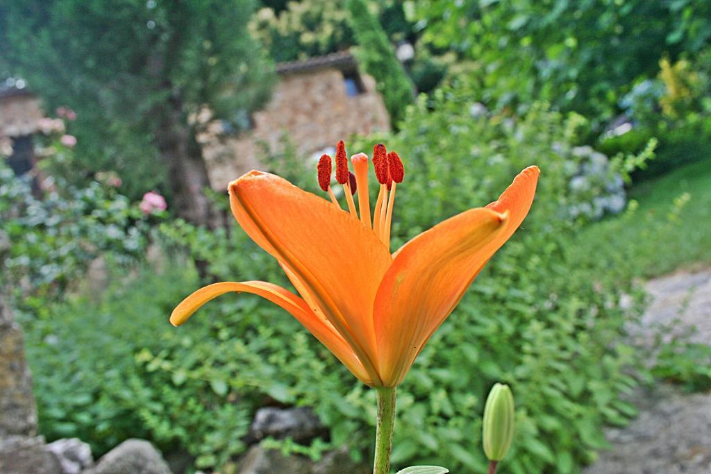 Finca El Carpintero Jerte Esterno foto