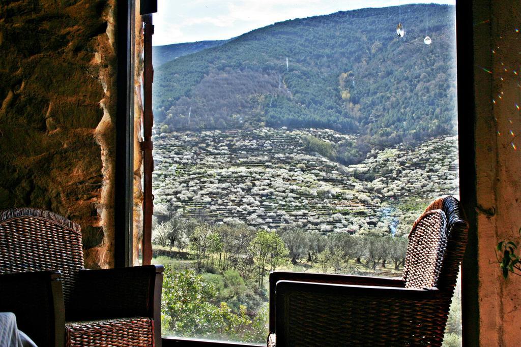 Finca El Carpintero Jerte Esterno foto