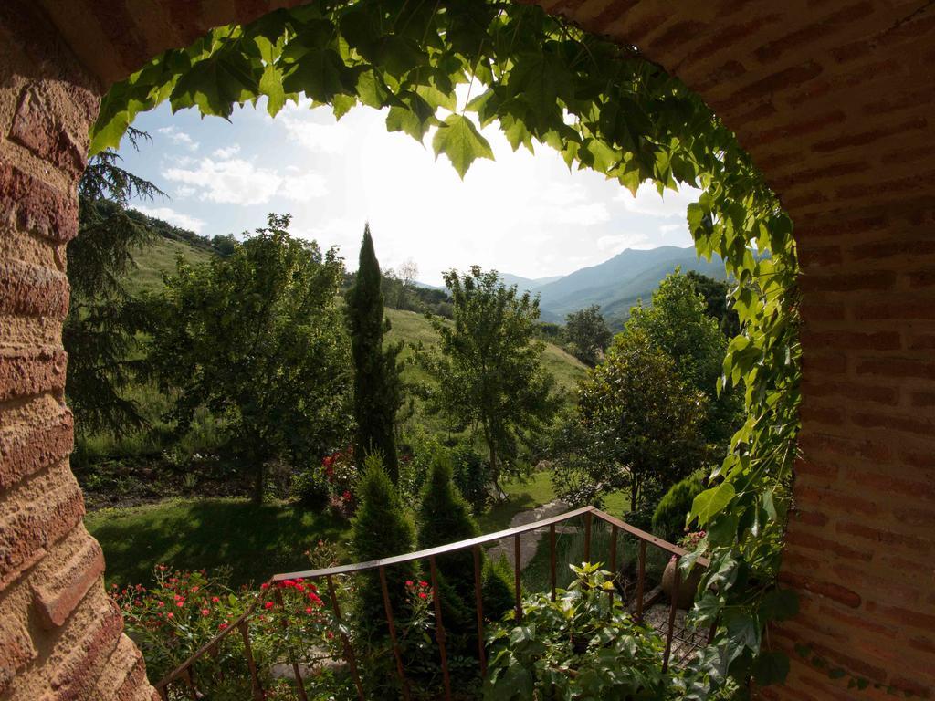 Finca El Carpintero Jerte Esterno foto